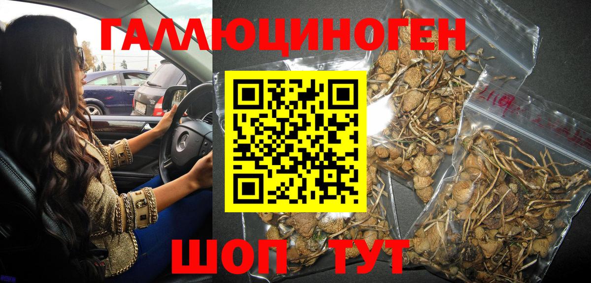 Псилоцибиновые грибы мухоморы  Вход с VPN  Барнаул 