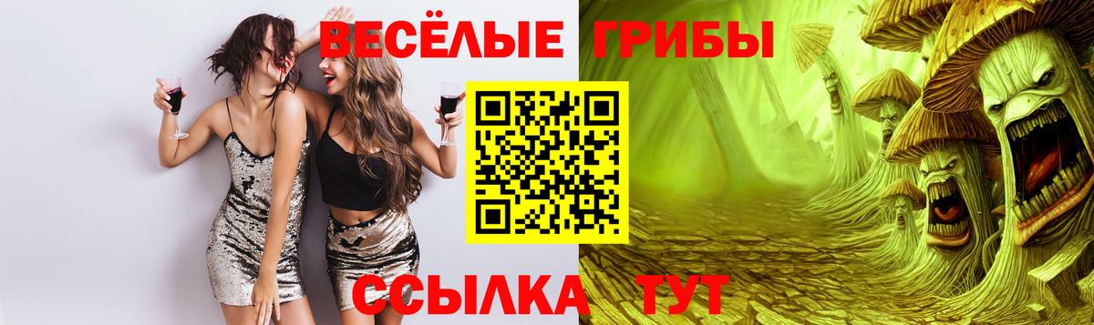 Галлюциногенные грибы ЛСД Барнаул